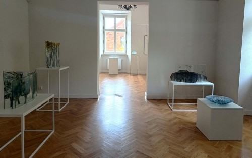 Beata Mak-Sobota „Synchronia – teraźniejszość i retrospekcja"