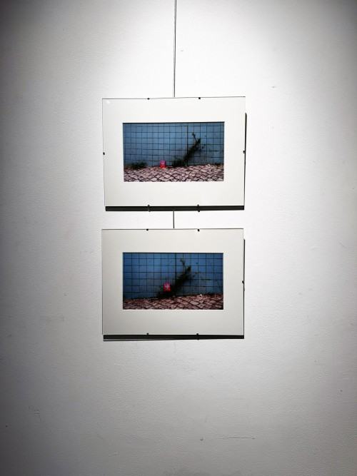 Milczące krajobrazy