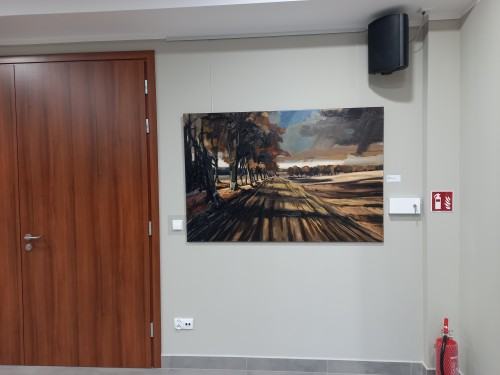 Struktury krajobrazu - Jarosława Pabich-Szmyt