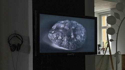 01-6_0.jpg „kiosk TV – czyli rozszerzone pasmo specjalne Akademii”
