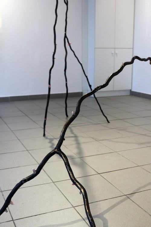 fotorelacja z wystawy Only Moments