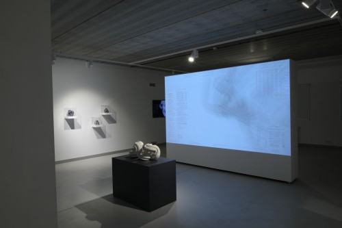 ROUGH CODE dokumentacja wystawy Adama Abla