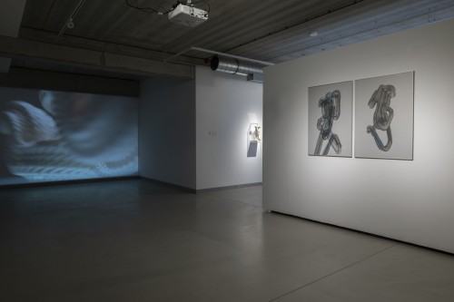 ROUGH CODE dokumentacja wystawy Adama Abla