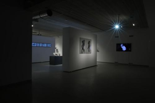 ROUGH CODE dokumentacja wystawy Adama Abla