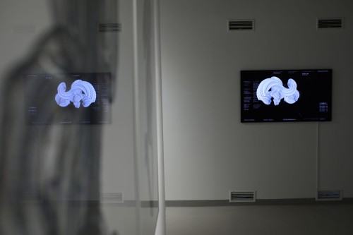 ROUGH CODE dokumentacja wystawy Adama Abla