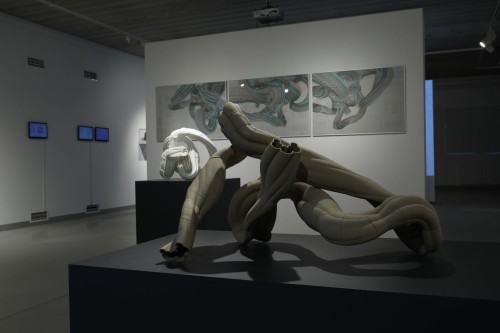 ROUGH CODE dokumentacja wystawy Adama Abla