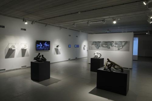 ROUGH CODE dokumentacja wystawy Adama Abla