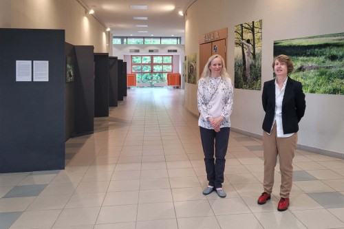 Ewa Martyniszyn, O doświadczeniu bezpośrednim i jego braku