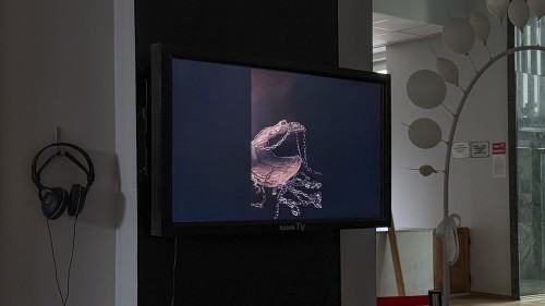 03-5_0.jpg „kiosk TV – czyli rozszerzone pasmo specjalne Akademii”