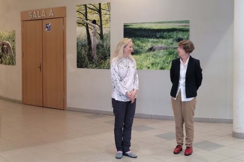 Ewa Martyniszyn, O doświadczeniu bezpośrednim i jego braku