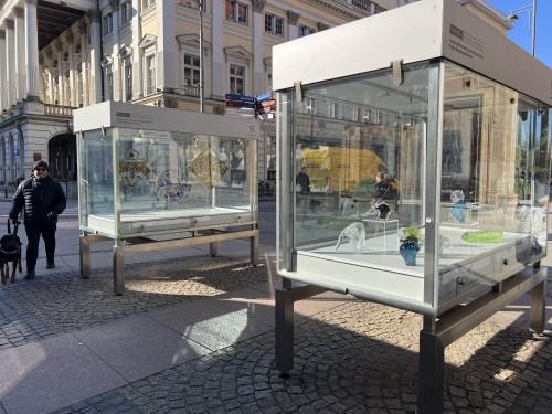 RAZEM - Wydział Ceramiki i Szkła - prezentacja Wydziału Ceramiki i Szkła w gablotach