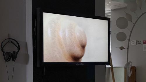 09-2_1.jpg „kiosk TV – czyli rozszerzone pasmo specjalne Akademii”