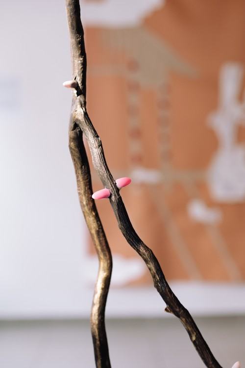 fotorelacja z wystawy Only Moments