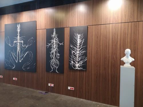 Corpus Humanum , zdj. R. Grabkowski