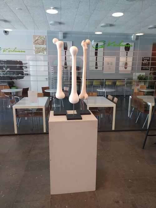 Corpus Humanum , zdj. R. Grabkowski