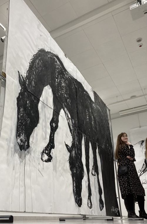 Jarosława Pabich-Szmyt, KoŃfrontacje