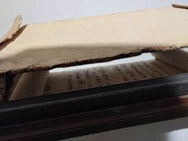 Otwarcie wystawy Stężenie