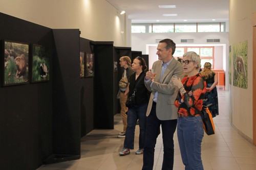 Ewa Martyniszyn, O doświadczeniu bezpośrednim i jego braku