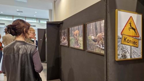 Ewa Martyniszyn, O doświadczeniu bezpośrednim i jego braku