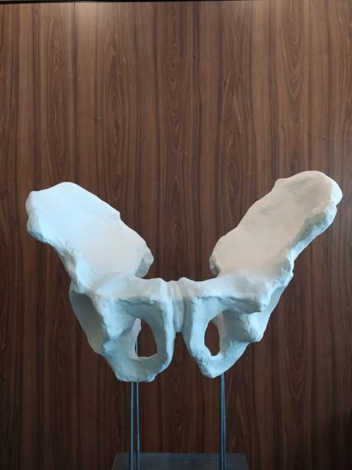 Corpus Humanum , zdj. R. Grabkowski