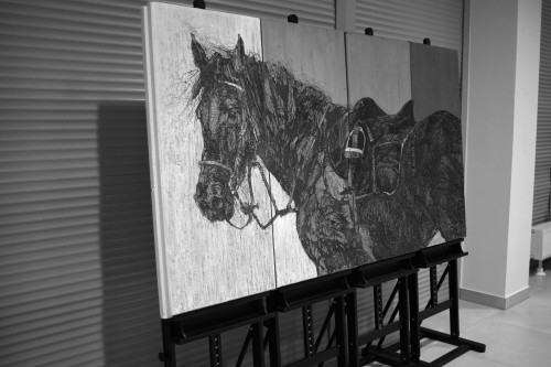 Jarosława Pabich-Szmyt, KoŃfrontacje