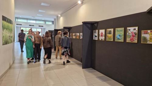 Ewa Martyniszyn, O doświadczeniu bezpośrednim i jego braku