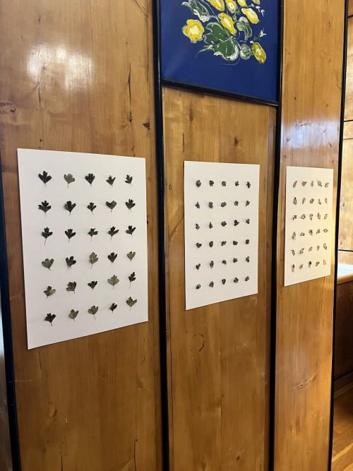 Gottlob Art Residency