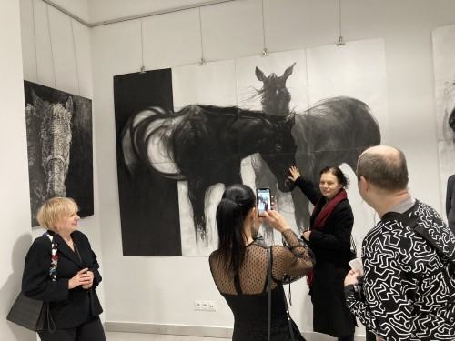 Jarosława Pabich-Szmyt, KoŃfrontacje