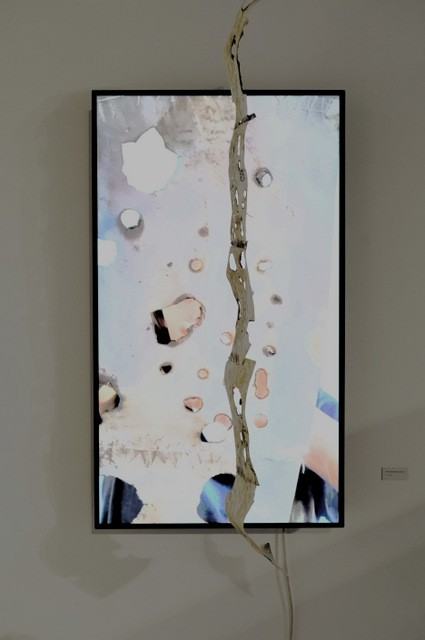 Zniknięcie jako infekcja, Międzynarodowa Wystawa Studentów, zdj. Marek Sienkiewicz