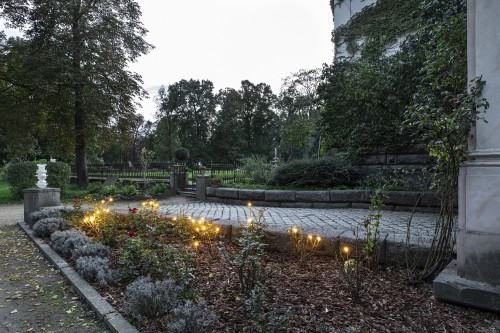 Katarzyna Szarek, Rozen