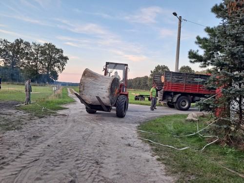 VIII plener rzeźbiarski, Dobrodzień 2022, fot. Andrzej Kosowski