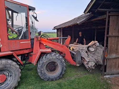 VIII plener rzeźbiarski, Dobrodzień 2022, fot. Andrzej Kosowski