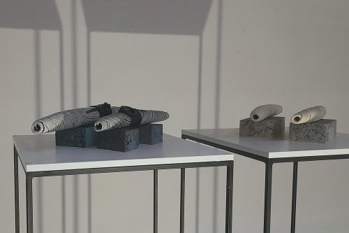 K. Rozpondek, W witrynie