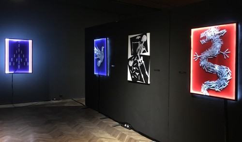 Marlena Promna, Ogrody. Rekonstrukcja. / Tomasz Pietrek