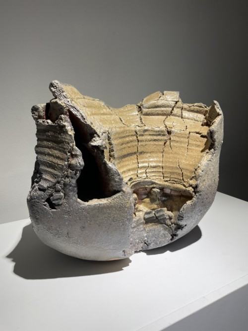 Z ziemi i ognia / Michał Puszczyński