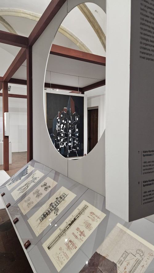 Shinchintaisha. Procesy nietrwałości