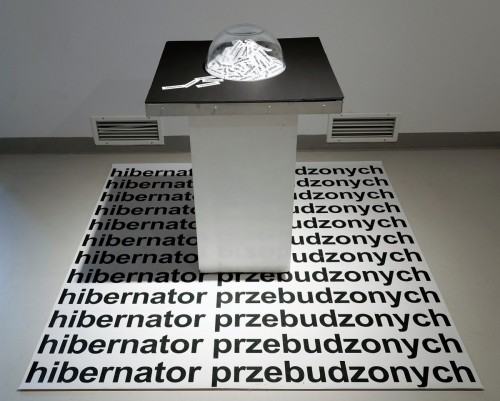 Relacja z wernisażu wystawy Rzeźby  Symptom