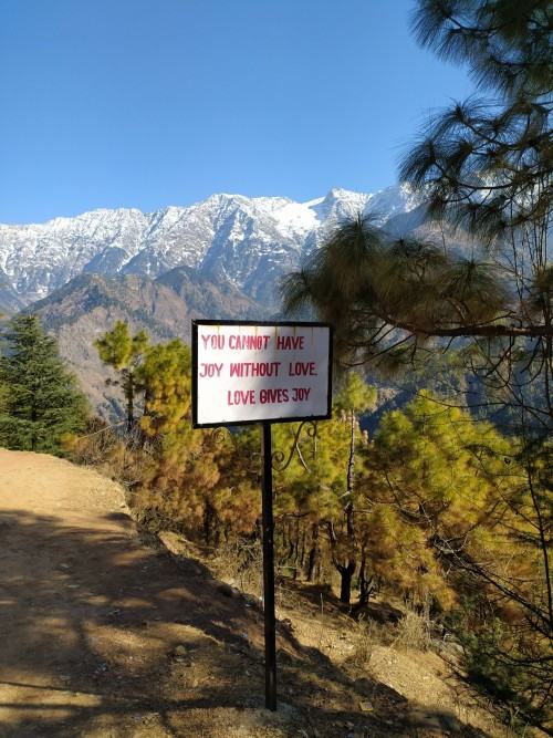 Międzynarodowa rezydencja artystyczna CHITRASHAALA 2024 (Dharamshala, Indie)