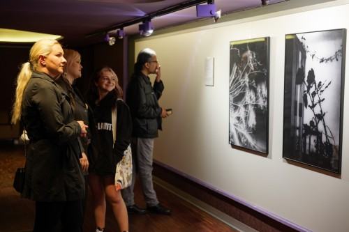 Między cieniem a czułością