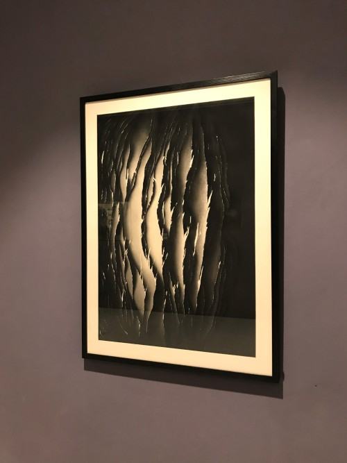 Otwarcie wystawy Na pograniczu światów / Vol.2 / Natura rzeczy