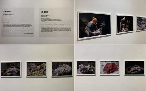 Biennale Scenografii w Tbilisi, wystawa