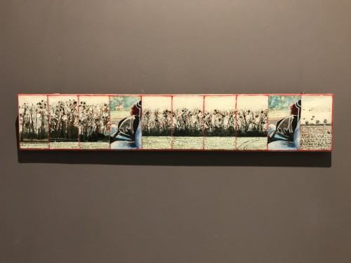 Otwarcie wystawy Na pograniczu światów / Vol.2 / Natura rzeczy