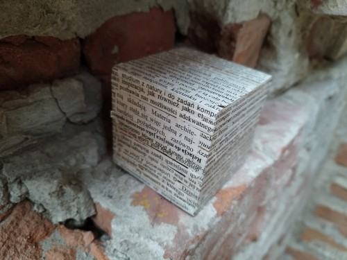 Praca Moniki Aleksandrowicz