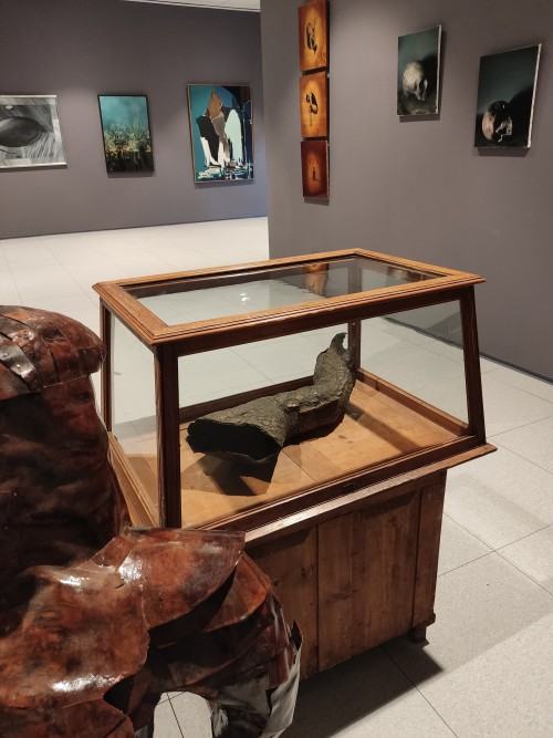 Otwarcie wystawy Na pograniczu światów / Vol.2 / Natura rzeczy