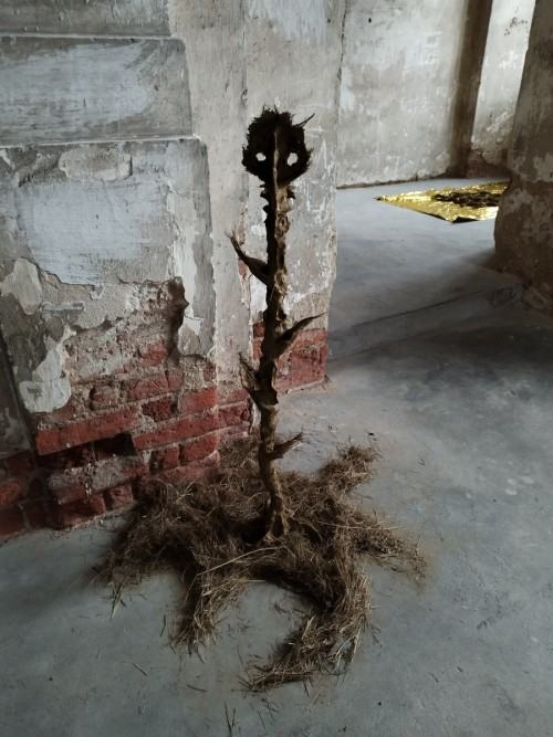 Praca Pablo Ramireza Gonzaleza