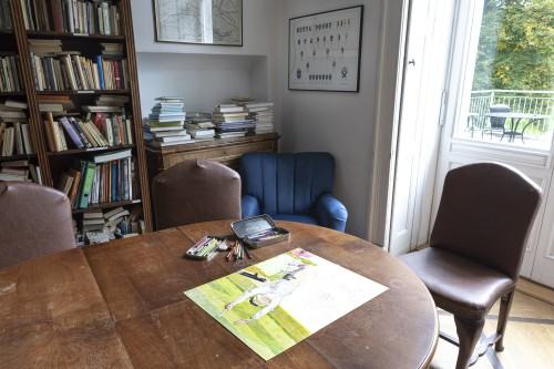 Zofia Palucha, Joker