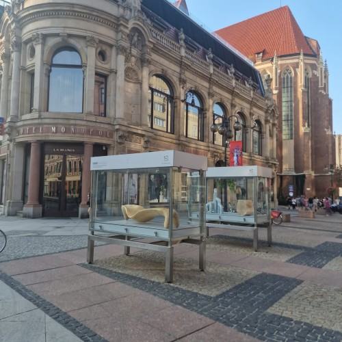 Rzeźba wobec funkcji