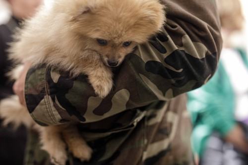 fotorelacja z wystawy Transkrypcje w galerii Łącznik