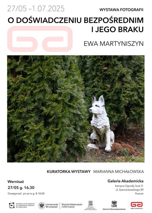 Ewa Martyniszyn, O doświadczeniu bezpośrednim i jego braku