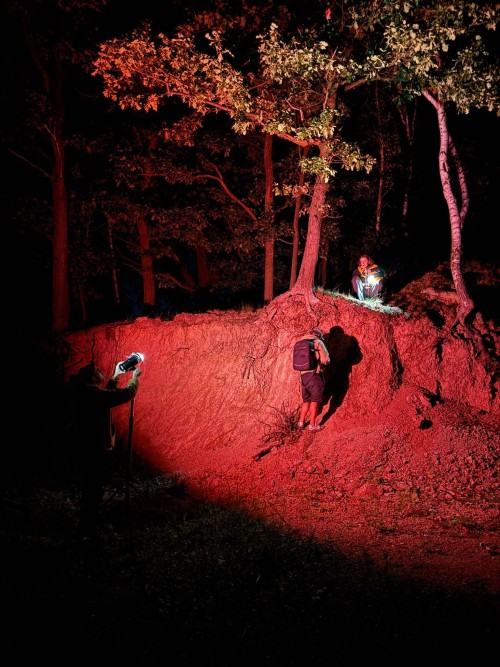 Gottlob Art Residency